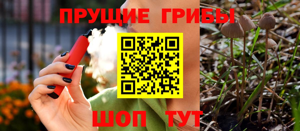 Пенза  Псилоцибиновые грибы MAGIC MUSHROOMS  Вход с VPN 